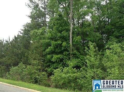 2nd image of 15 Creekview Ln