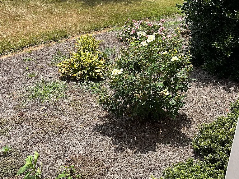 118 Portman Ln — Photo 28