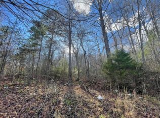 1559 Wolf Creek Rd, Mineral Bluff, GA 30559