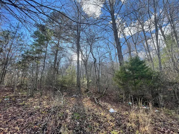 1559 Wolf Creek Rd, Mineral Bluff, GA 30559