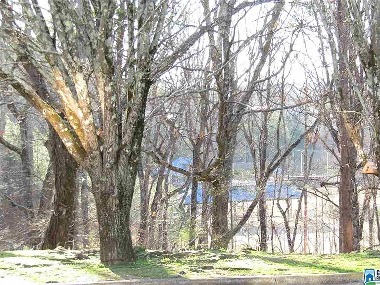 1000 Woodland Vlg #1004 — Photo 35