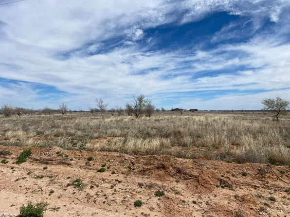 6510 County Road 1200, Shallowater, TX 79363