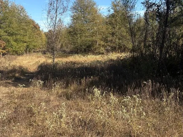 TRACT 8 Highway 990, Simms, TX 75574