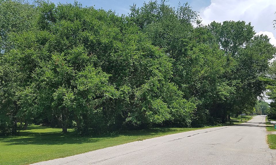 2nd image of Canterbury Dr