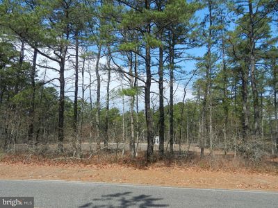 39B Prince St, Chatsworth, NJ, 08019