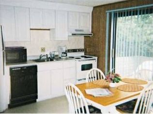 100 Hornbeam Rd, Beech Mountain, NC 28604