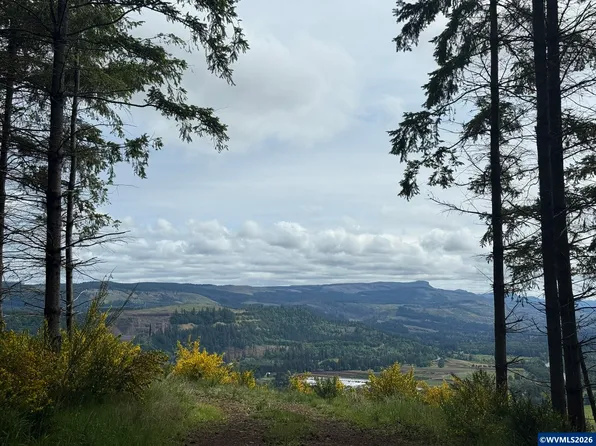 Tl 400 & 900 Kingston Lyons Dr, Stayton, OR 97383