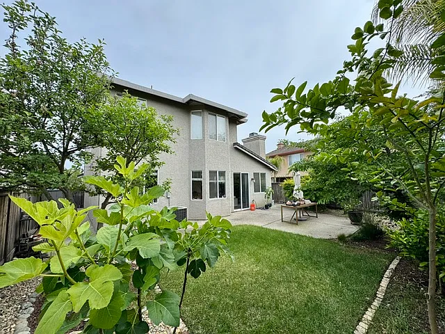 Backyard from corner