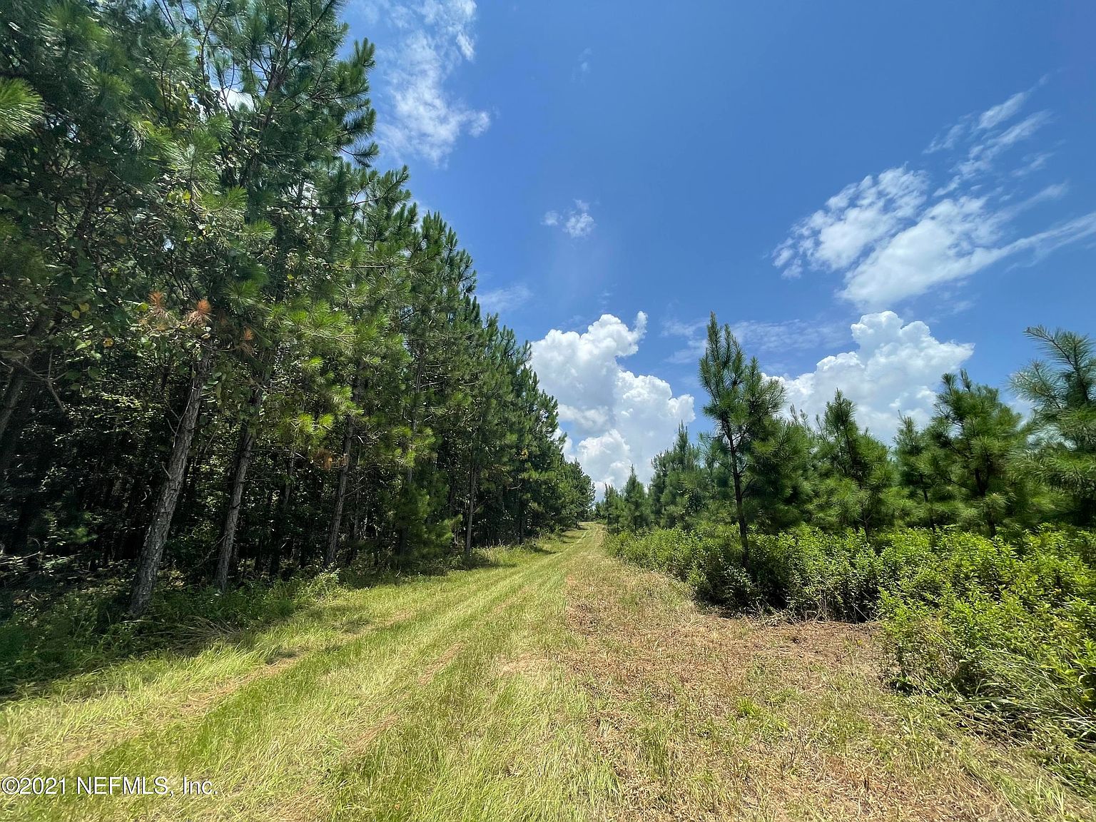 0 NE ROCKY FORD RD, Madison, FL 32340 MLS 1121148 Zillow