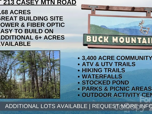 Casey Mountain Rd #213, Purlear, NC 28665