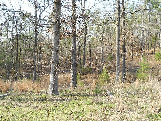 1st image of 147 Thunder Ln