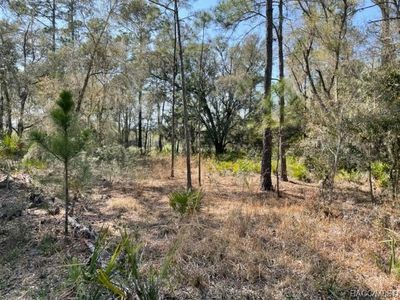 9064 N Cavewood Ave, Crystal River, FL, 34428