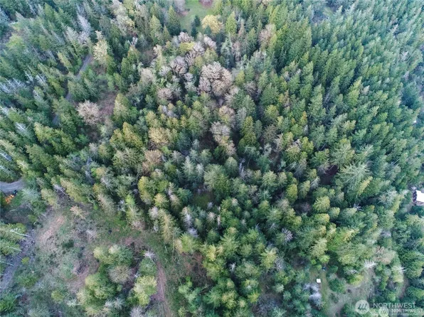 0 Lot 4&5 Parcel 932100617 BLK 6, Brinnon, WA 98320