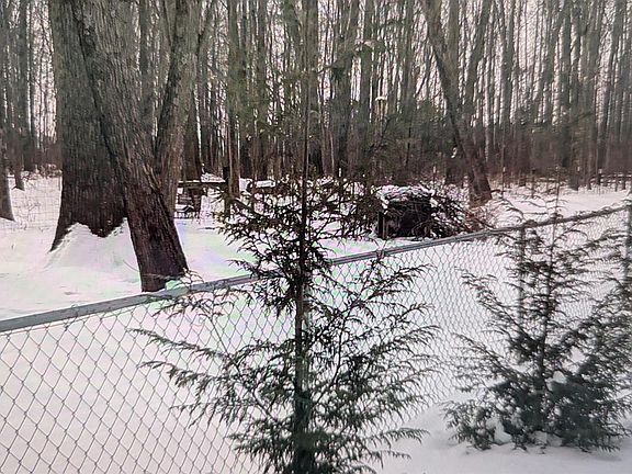 5th image of 10891 Pleasant Renner Rd