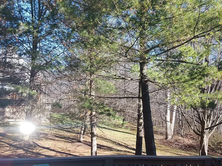 Deck View