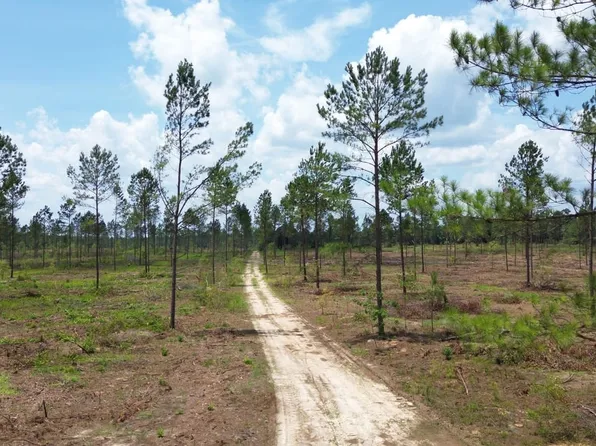 Calvary Church Rd, Swansea, SC 29160