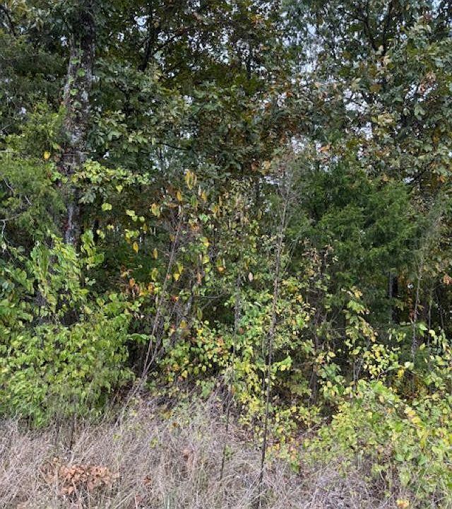 2nd image of 0 State Highway 16
