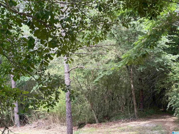 0 Lora Ln #1, Birmingham, AL 35214