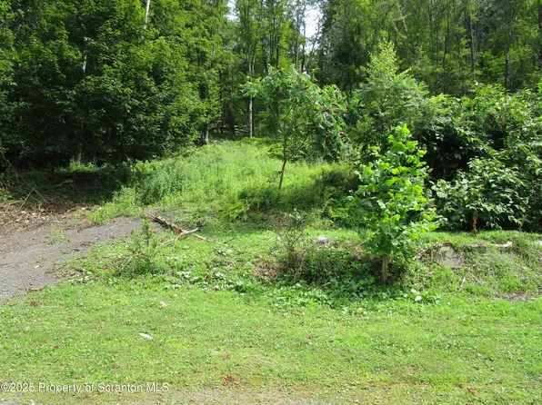 351 Prospect St, Susquehanna, PA 18847