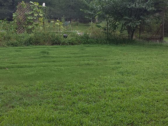 backyard view from deck