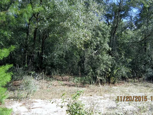 110 Heron Rd, Satsuma, FL 32189