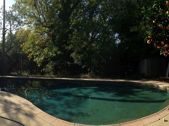 back yard / pool