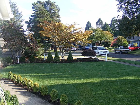 Front exterior lawn in Fall