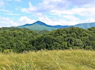 Muddy Hollow Rd, Dandridge, TN 37725