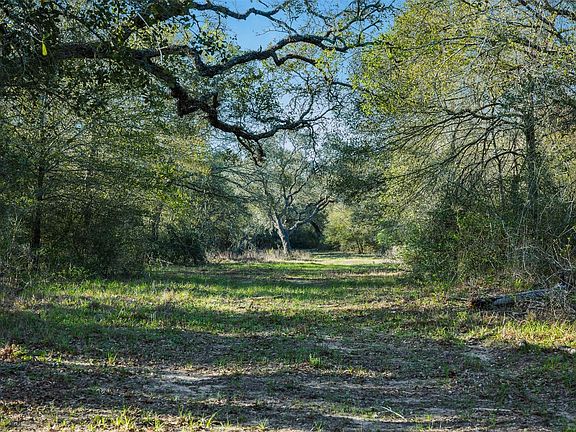 5th image of 1746 County Road 103