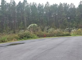 1334 Wood Sorrel Dr, Moncks Corner, SC 29461