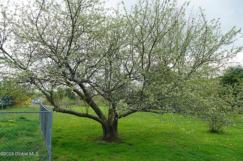 3rd image of 4 Brimanda Lane