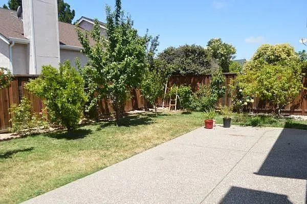 34315 Kenwood Dr — Photo 20