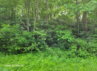 23 Laurelwood Ln, Mountain City, TN 37683