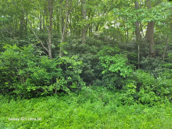 23 Laurelwood Ln, Mountain City, TN 37683