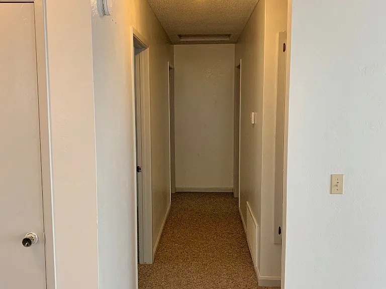 805 Avon Ct — Photo 10