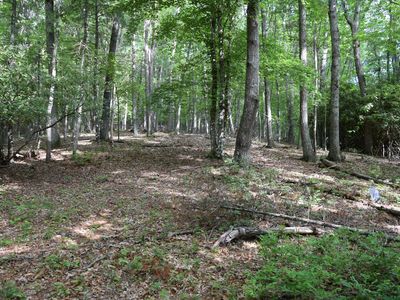 1866 Firehouse Rd NW, Willis, VA, 24380