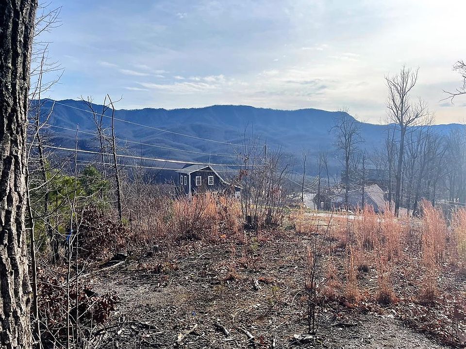 1st image of Pine Ct