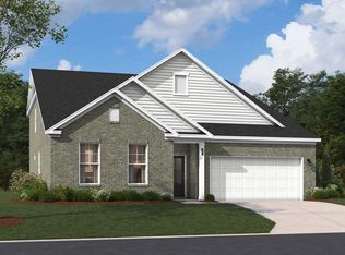 461 Rainbow Shad Way, Lexington, SC 29072