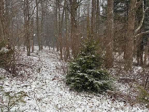 4th image of State Route 2001 Rattlesnake Rd