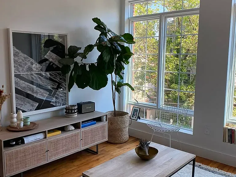 161 Jackson St #3 — Photo 8