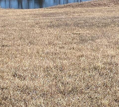 4th image of 0 Springdale Rd