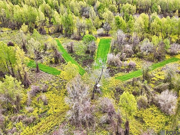 4th image of Cat Island Rd