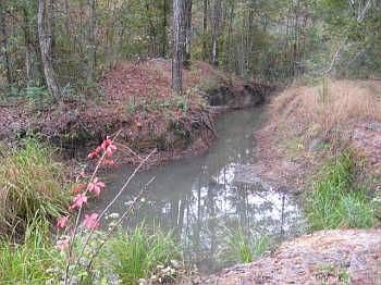 3rd image of 1242 Breezewood