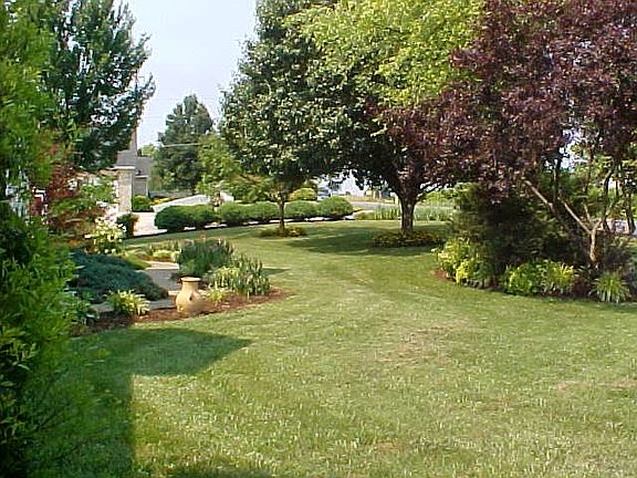 4th image of 188 Dove Dr
