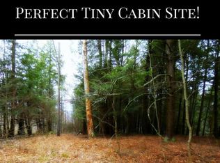 0 Hog Mountain Rd, Fleischmanns, NY 12430