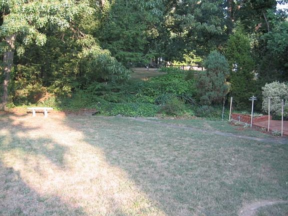 Backyard view 2