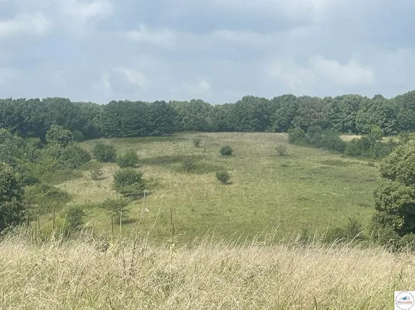 29199 Henning Rd, Cole Camp, MO 65325