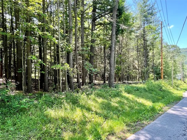 721 Tracy Creek Rd, Vestal, NY 13850