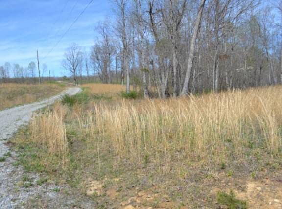 5th image of 708AC Hollow Creek Ln