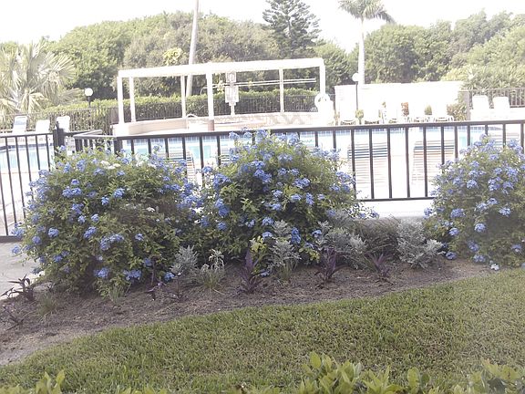 4th image of 6372 Palma Del Mar Blvd S APT 117